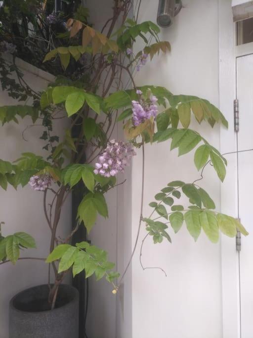 Apartamento Superior 5* Kensington, London Flat + Free Wi-Fi Exterior foto